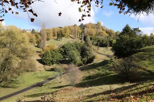 Brook Park 3